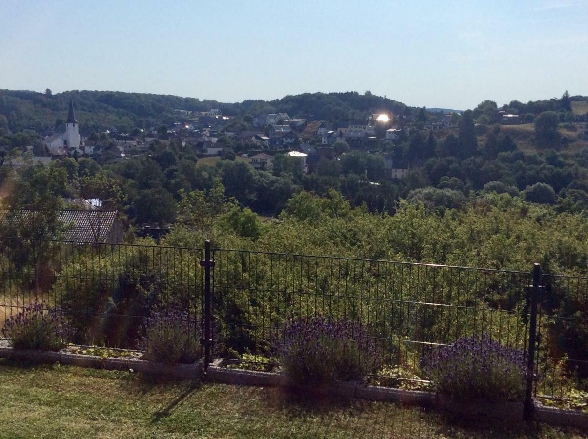 Ferienwohnung Hoehenweg 25 Nettersheim ภายนอก รูปภาพ